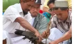 Bareskrim Polri kembali periksa Pandji Pragiwaksono pada Senin