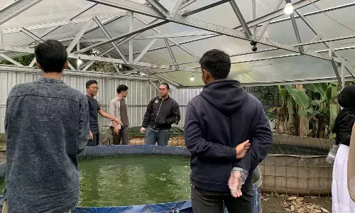 Mahasiswa UB perkuat ketahanan pangan UMKM melalui startup Capunglam