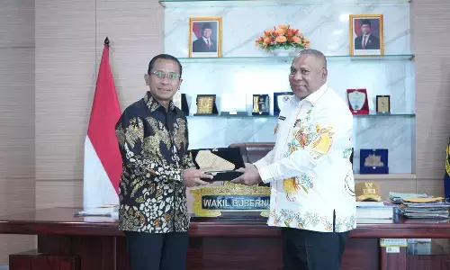 BPJS Kesehatan dorong penguatan layanan JKN di Papua