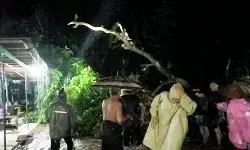 Puluhan rumah di Situbondo terendam banjir luapan air sungai