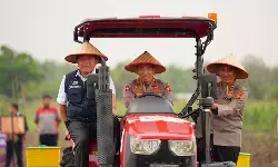 Kapolri hadiri tanam raya jagung serentak, dukung target swasembada pangan