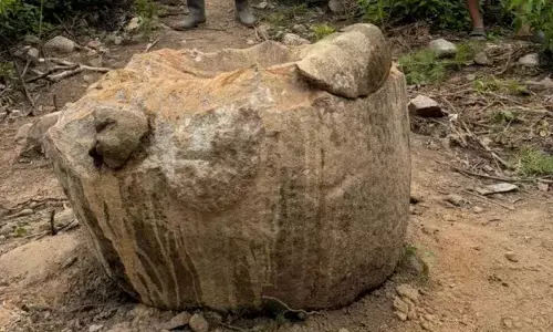 Komnas HAM minta Polda Sulteng selidiki tambang ilegal rusak megalit Komnas HAM minta Polda Sulteng selidiki tambang ilegal rusak megalit