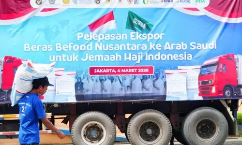 Bapanas pastikan beras ekspor ke Arab Saudi kantongi dokumen HC