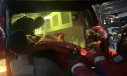 Pohon tumbang tewaskan pengendara di Jakarta Selatan