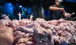 Harga daging ayam Rp41.050/kg, cabai rawit Rp78.900/kg di Minggu pagi