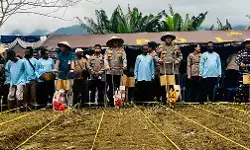 Polri tanam jagung serentak di Papua seluas 11,18 hektare dukung pangan nasional Polri tanam jagung serentak di Papua seluas 11,18 hektare dukung pangan nasional