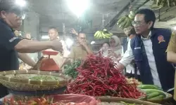 KPPU sidak stok sembako di dua pasar Kota Medan KPPU sidak stok sembako di dua pasar Kota Medan