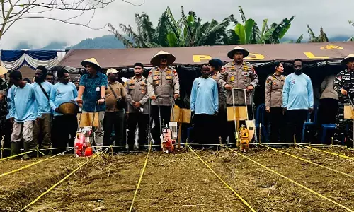 Polri tanam jagung serentak di Papua seluas 11,18 hektare dukung pangan nasional