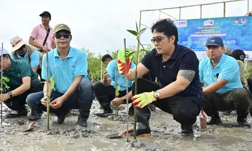 Konservasi mangrove Tahura Ngurah Rai tingkatkan ekonomi masyarakat Bali