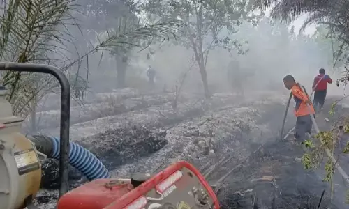 Pemprov Kalteng waspadai kemarau lebih awal guna antisipasi karhutla