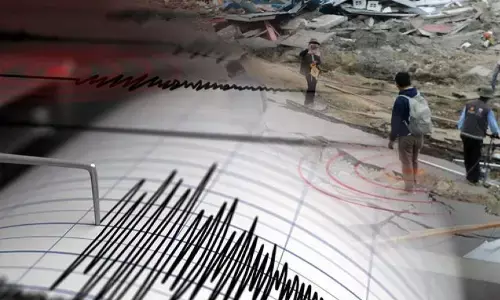BMKG: 20 gempa kecil guncang sejumlah daerah RI sejak Selasa dini hari