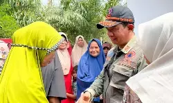 BNPB: 259 keluarga penyintas bencana di Aceh Tamiang terima DTH