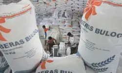 Bapanas proyeksikan ketersediaan beras nasional tembus 47 juta ton Bapanas proyeksikan ketersediaan beras nasional tembus 47 juta ton