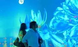 Museum Zoologi Bogor hadirkan ruang imersif Immerzoa