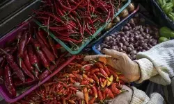 PIHPS: Harga cabai rawit Rp92.300/kg, daging ayam Rp41.500/kg