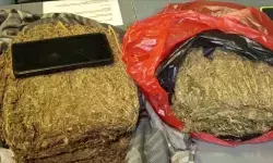 Polda Metro Jaya gagalkan peredaran 4,3 kg ganja di Depok