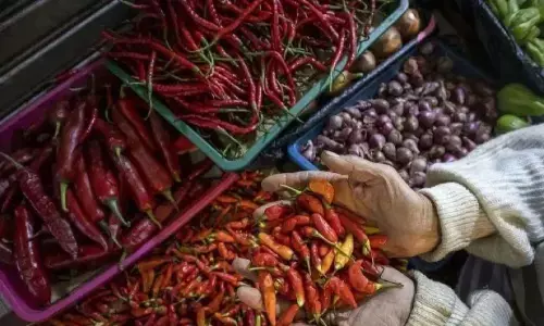 PIHPS: Harga cabai rawit Rp92.300/kg, daging ayam Rp41.500/kg