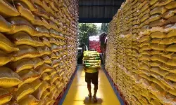 Mentan jamin ketersediaan pangan aman hingga akhir tahun Mentan jamin ketersediaan pangan aman hingga akhir tahun