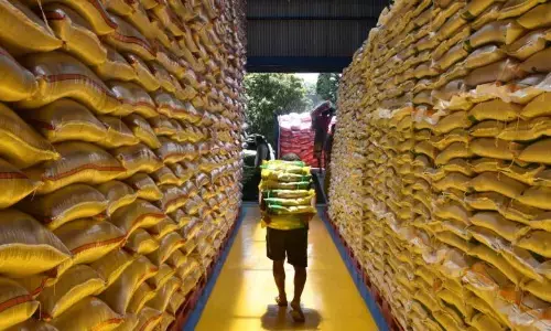 Mentan jamin ketersediaan pangan aman hingga akhir tahun Mentan jamin ketersediaan pangan aman hingga akhir tahun