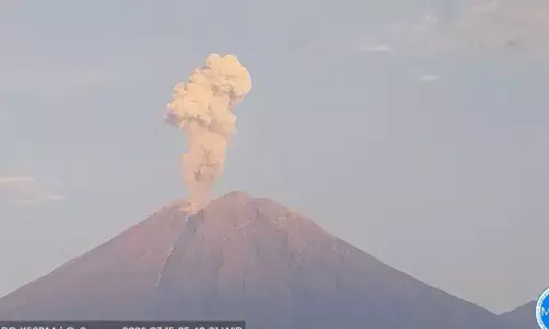 Semeru 11 kali erupsi dengan tinggi letusan hingga 1.200 meter