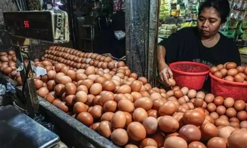 PIHPS: Harga telur ayam Rp33.050/kg, bawang merah Rp44.100/kg