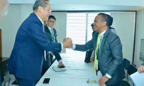 Indonesia dan Singapura matangkan rencana ekspor listrik bersih