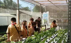 Fakultas Pertanian dan Bisnis UKSW lahirkan karya berdampak bagi ketahanan pangan