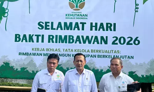 Wamenhut soroti kurangnya personel polisi kehutanan Wamenhut soroti kurangnya personel polisi kehutanan