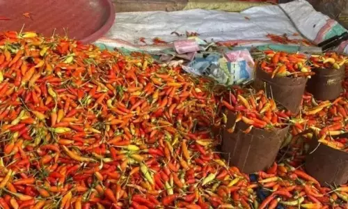 PIHPS: Harga cabai rawit Rp90.000/kg, daging ayam Rp42.750/kg