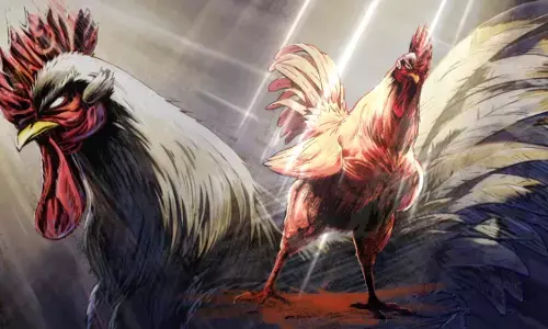 Anime Rooster Fighter: Sinopsis, jadwal rilis, & link nonton