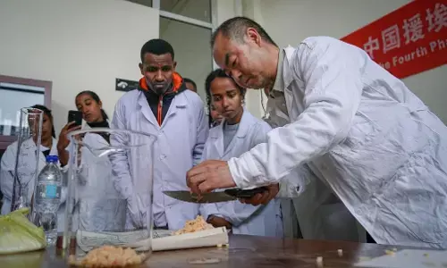 Menerangi masa depan bersama umat manusia – Gema Global Inisiatif Peradaban Global