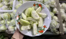 Jambu kristal jadi pilihan pemudik untuk perjalanan di Jalur Pansela