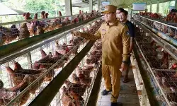 Pemkab Badung, Bali pastikan ketersediaan pangan jelang Nyepi dan Idul Fitri Pemkab Badung, Bali pastikan ketersediaan pangan jelang Nyepi dan Idul Fitri