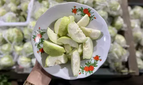 Jambu kristal jadi pilihan pemudik untuk perjalanan di Jalur Pansela