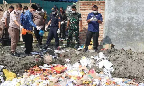 Karantina Sumut musnahkan lima ton mangga dari Vietnam