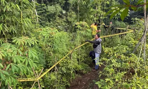 Polisi dalami temuan lahan tanaman ganja di Garut