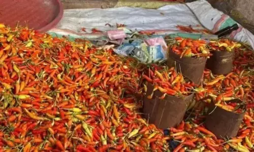 PIHPS catat harga cabai rawit tembus Rp131.000 per kg jelang Lebaran