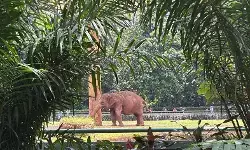 Ragunan mulai dipadati pengunjung sedari pagi Ragunan mulai dipadati pengunjung sedari pagi