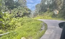 Menelusuri kembali Jalur Pantura, jejak lama di tengah arus mudik