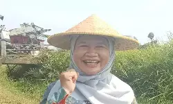 Pekalongan giatkan gerakan pemanfaatan lahan jaga ketahanan pangan