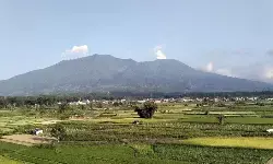 Gunung Marapi kembali erupsi Selasa sore
