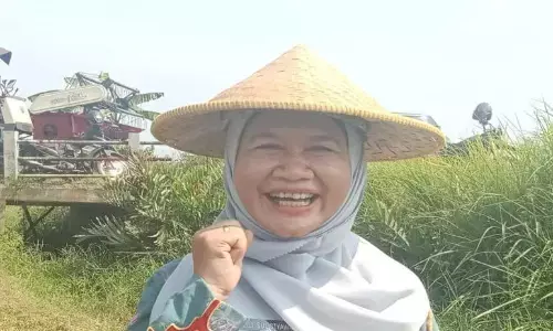 Pekalongan giatkan gerakan pemanfaatan lahan jaga ketahanan pangan