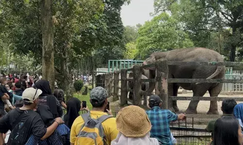 Lonjakan pengunjung H+2 Lebaran, Ragunan catat lebih dari 60 ribu wisatawan