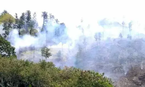 BMKG: Titik panas di Sumut bertambah menjadi 33 titik