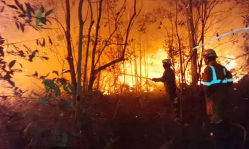 Damkar Tanjung Uban padamkan kebakaran lahan hingga malam hari