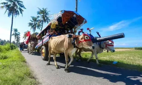 Pemkab Jember: Festival Pegon daya tarik wisata pantai di masa Lebaran