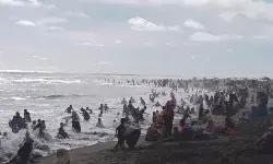 Enam wisatawan selamat dari kecelakaan laut di pantai selatan DIY