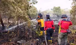 Sebanyak 533 titik panas terpantau di Kalbar