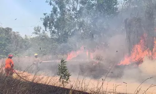 BNPB: Dalam tiga bulan, 2.713 hektare lahan di Riau terbakar