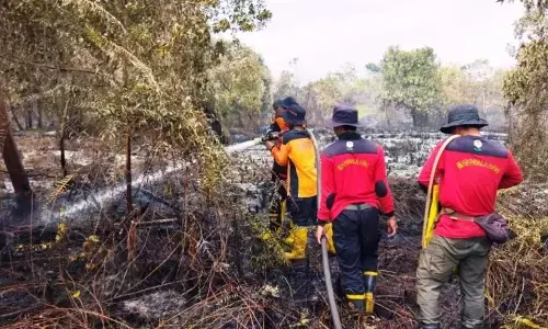 Sebanyak 533 titik panas terpantau di Kalbar Sebanyak 533 titik panas terpantau di Kalbar